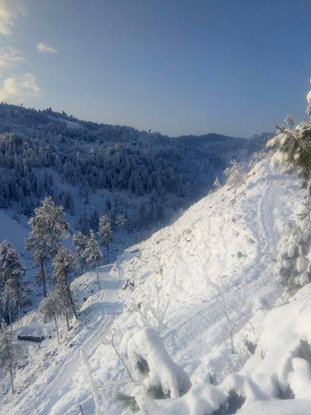 Kashmir