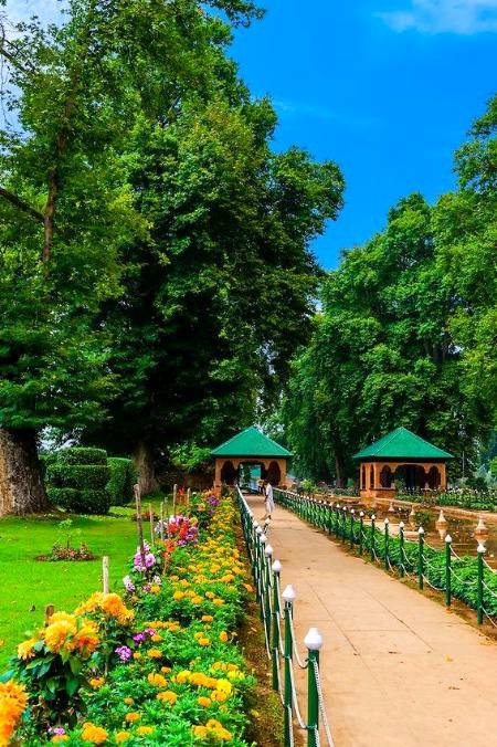 Kashmir
