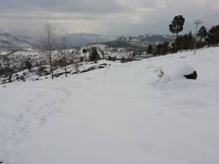 Kashmir