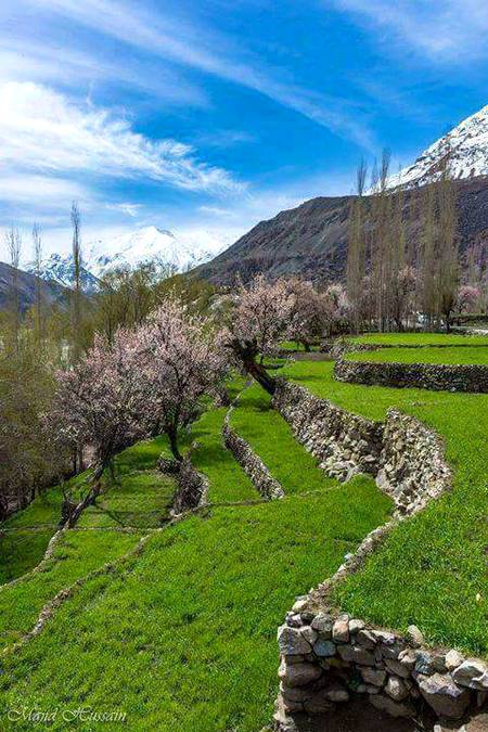 Kashmir