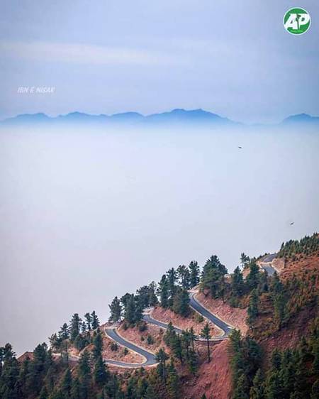 Kashmir