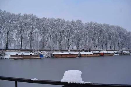 Kashmir