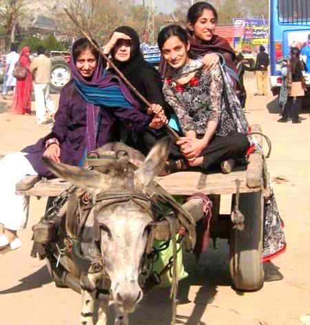 Lockdown meme, lockdown funny, lockdown joke