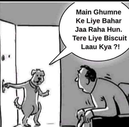 Lockdown meme, lockdown funny, lockdown joke