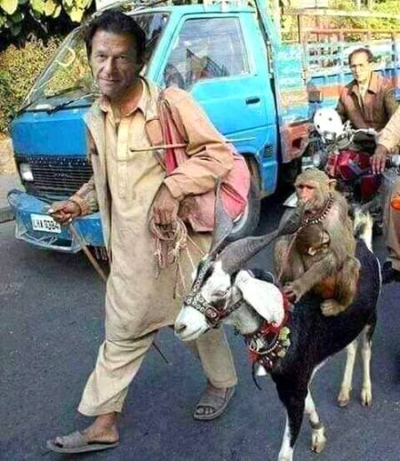 Lockdown post, lockdown social media post