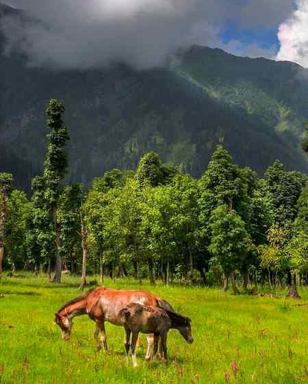 Neelum Valley Kashmir AJK