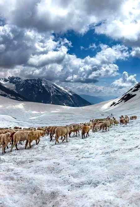Neelum Valley Kashmir AJK