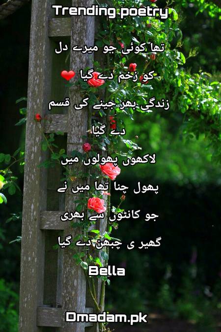 Poetry