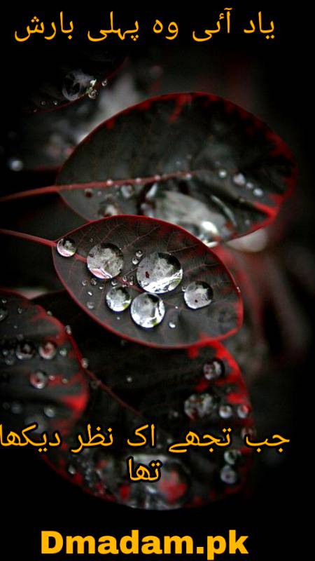 Poetry