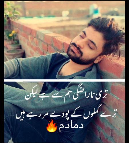 Poetry