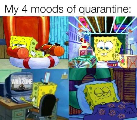 Quarantine meme, quarantine funny, quarantine joke