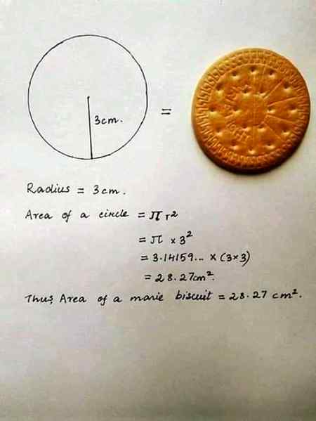 Quarantine meme, quarantine funny, quarantine joke