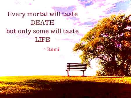 Quote