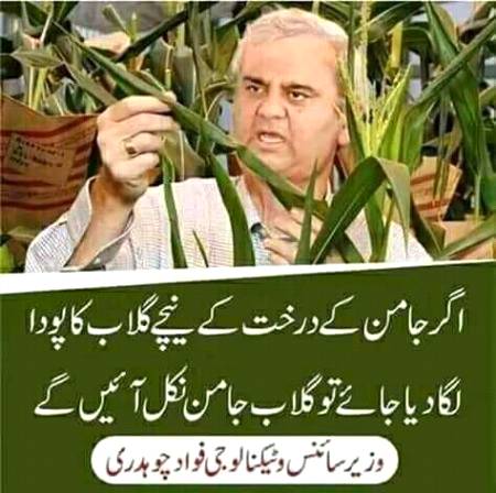 Social media post
