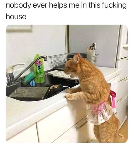 Social media post
