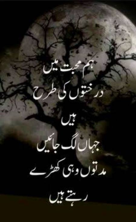 Social media post