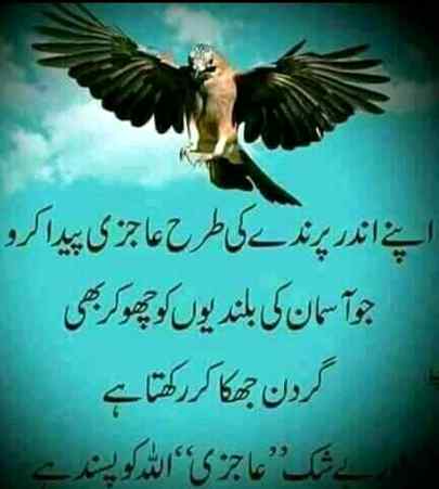 Social media post