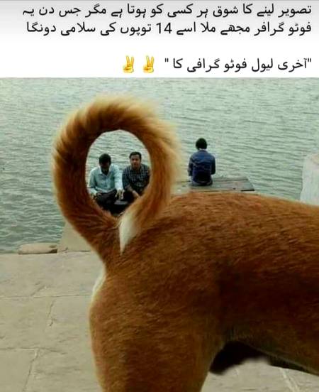 Social media post