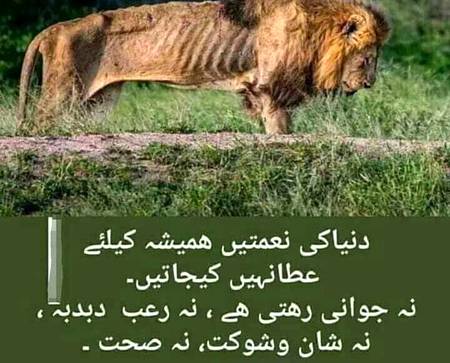 Social media post