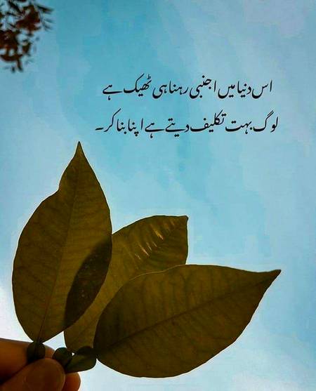 Social media post