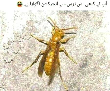 Social media post