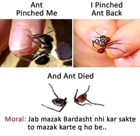 Social media post