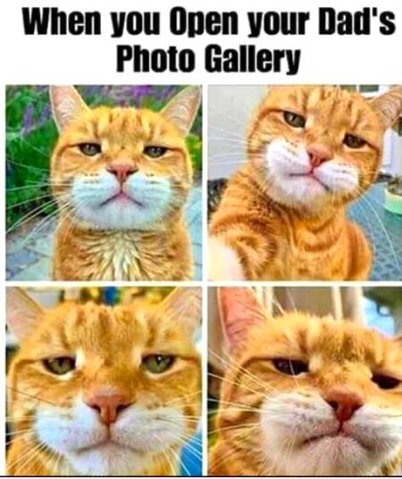 Social media post