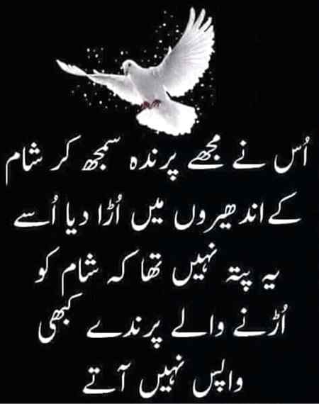 Social media post