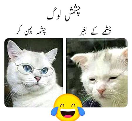Social media post