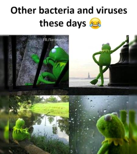 Social media post