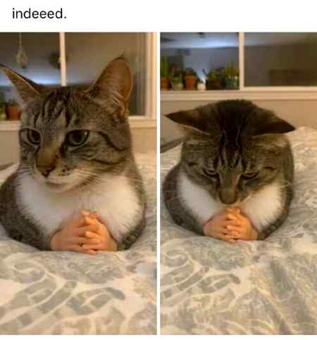 Social media post