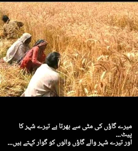 Social media post