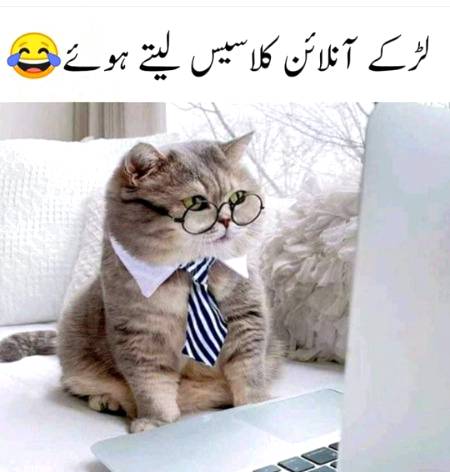 Social media post