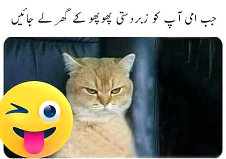Social media post