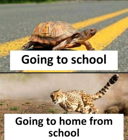 Social media post