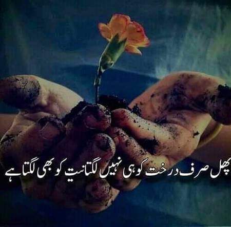 Social media post
