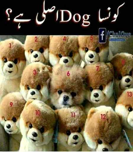 Social media post
