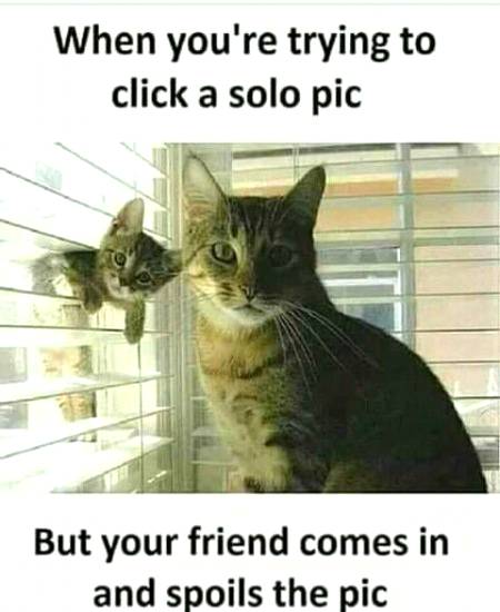 Social media post