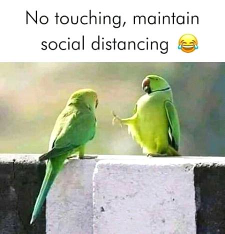 Social media post