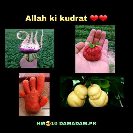 Social media post