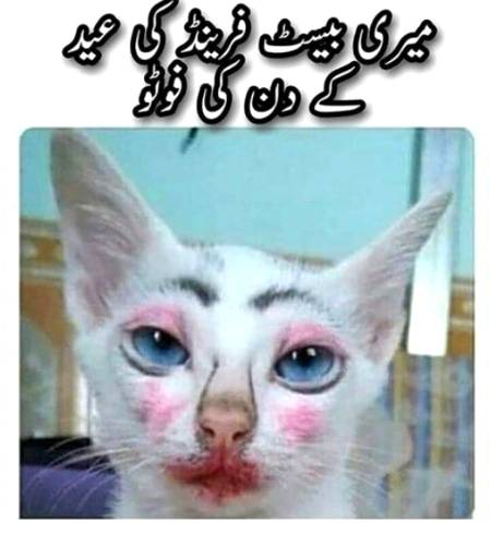 Social media post