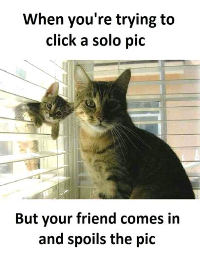 Social media post