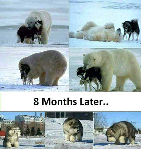 Social media post