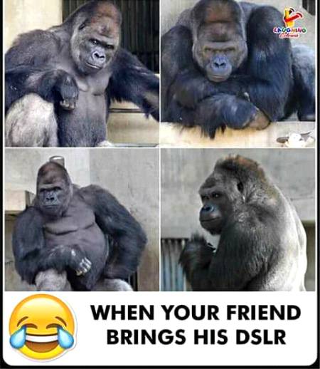 Social media post
