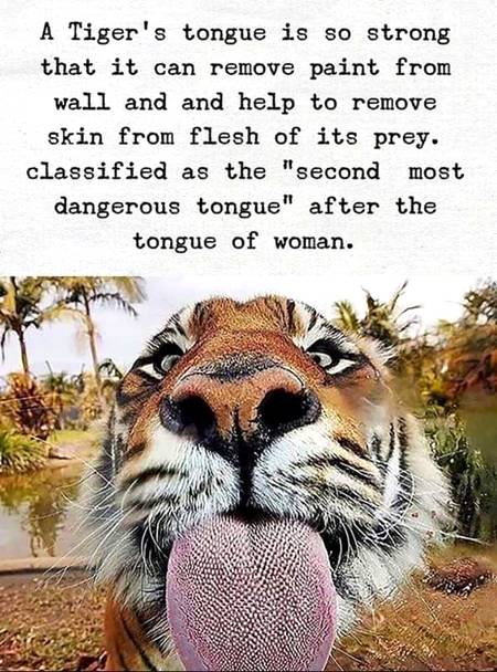 Social media post