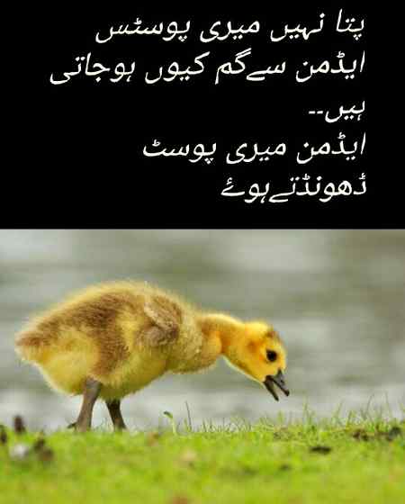 Social media post