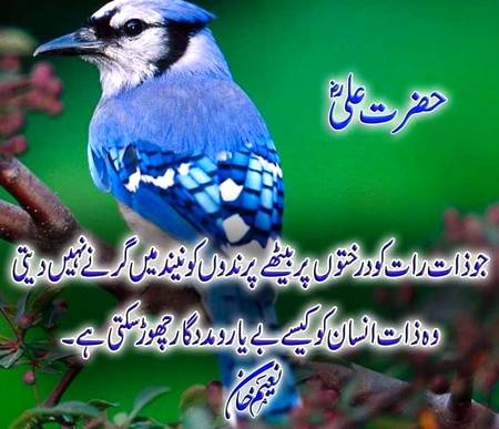 Social media post