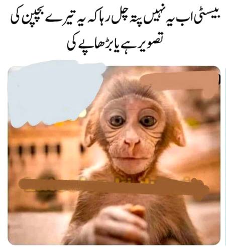 Social media post
