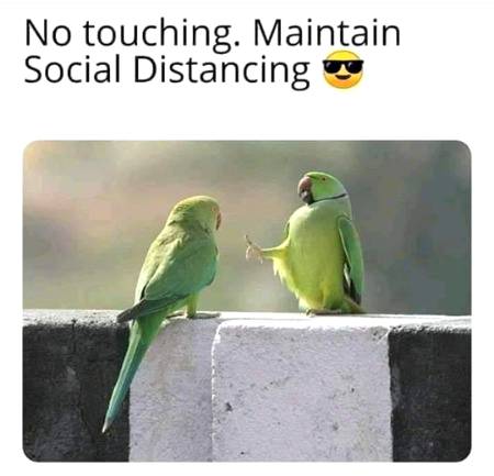 Social media post