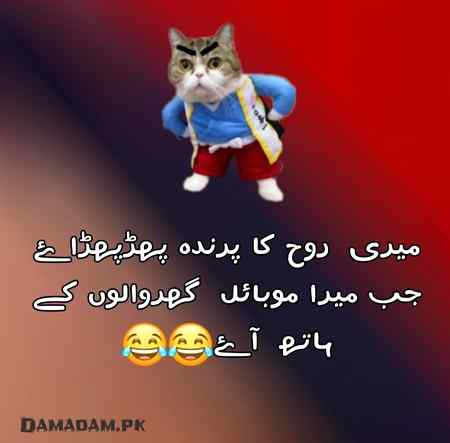 Social media post